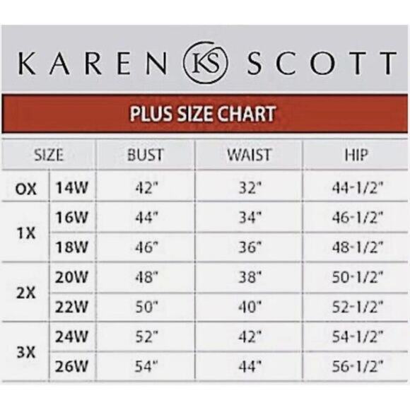 Karen Scott Overcast Pull On Straight Leg‎ Jeans Plus Size 3X NWT - Picture 4 of 5